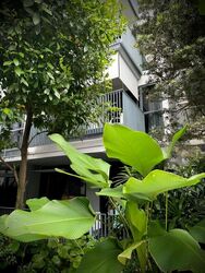 Sky Vue (D20), Condominium #632074731